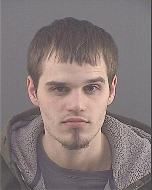 LUNINI, BRANDON NICHOLAS - Peoria County, IL