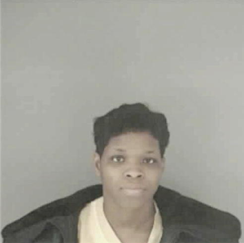 WILSON, TAMMY RENEE - Peoria County, IL