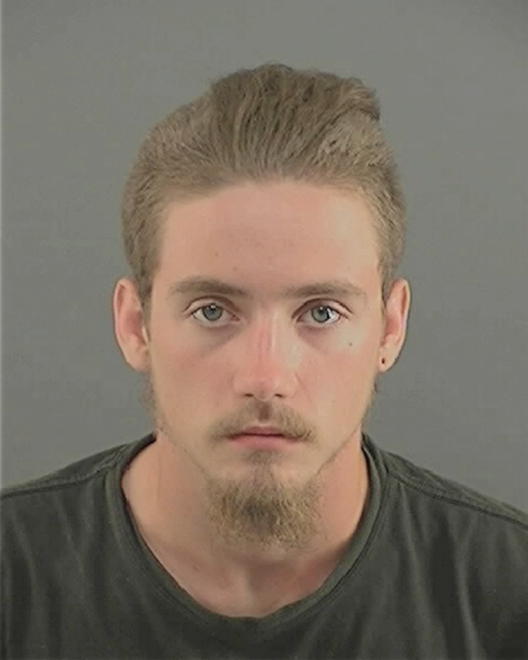 LEROY, ANDREW MICHAEL - Peoria County, IL
