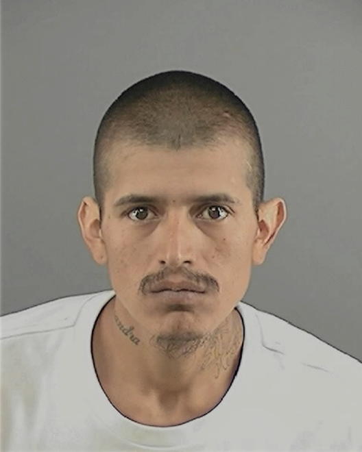 TORRES, CARLOS H - Peoria County, IL