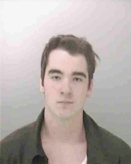 FERRARO, ALEX R - Peoria County, IL