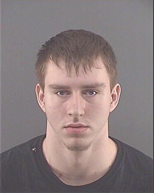 LEWANDOWSKI, MATTHEW B - Peoria County, IL