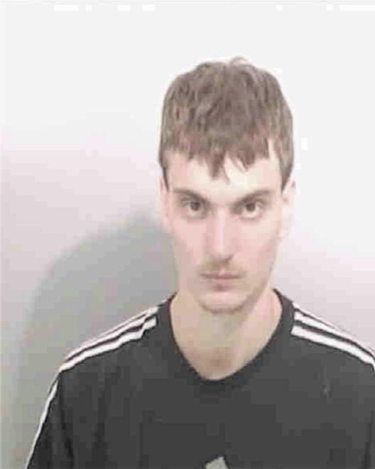 SCOLES, SHAUN ANTHONY - Peoria County, IL