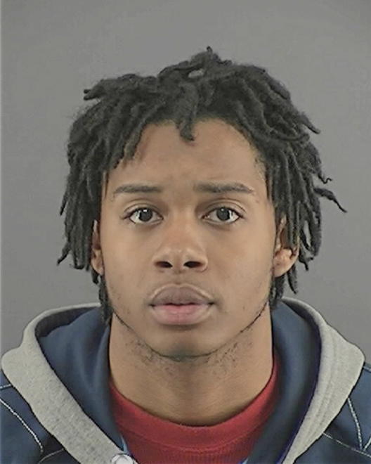 ANDERSON, JEREA WARREN - Peoria County, IL