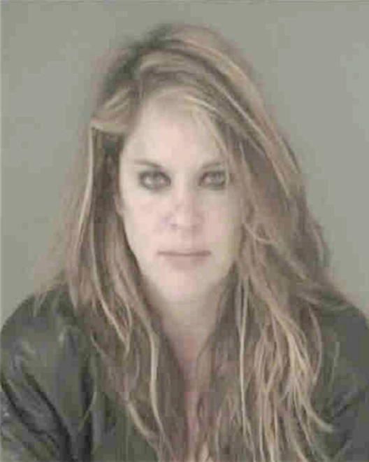 HALL, LISA MARIE - Peoria County, IL