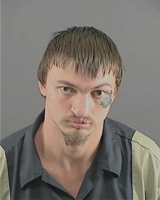 KRASNER, AARON M - Peoria County, IL