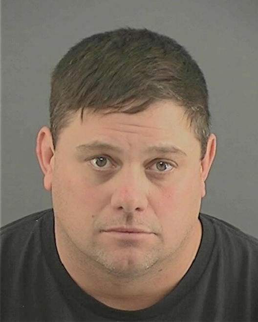 NEWLUN, MARK ALAN - Peoria County, IL