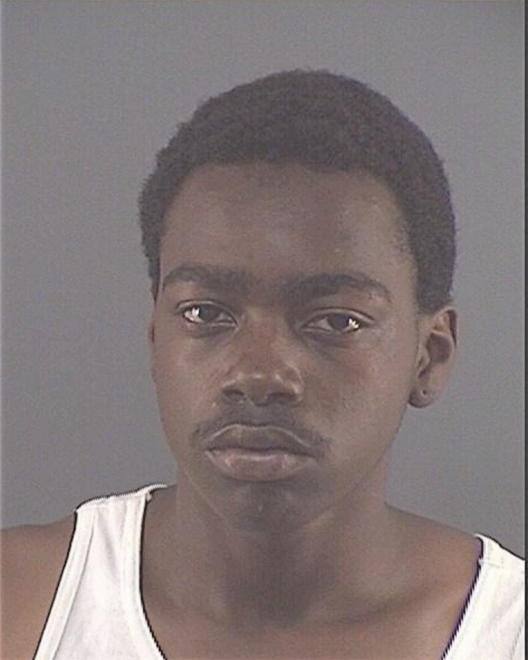 WILCOX, STEVEN - Peoria County, IL