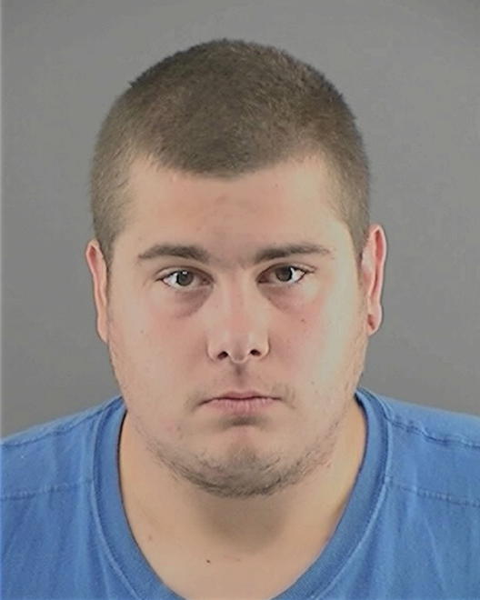 LINGHAM, BRANDON S - Peoria County, IL