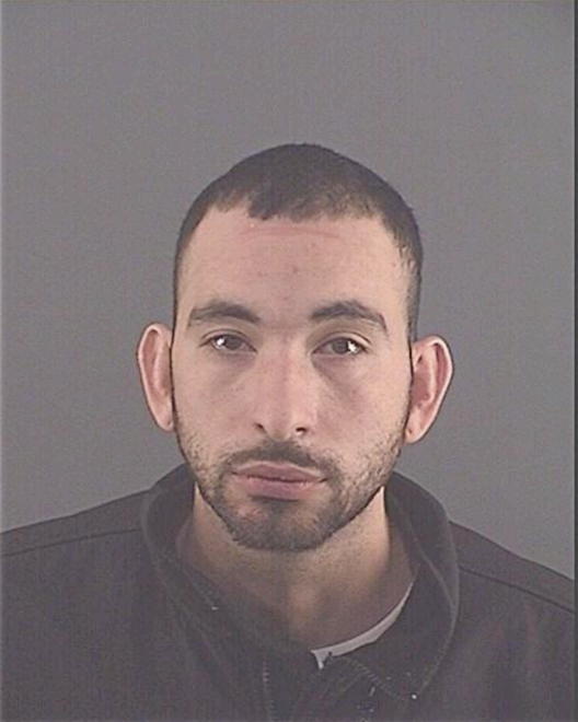 AVALOS, DAVID - Peoria County, IL