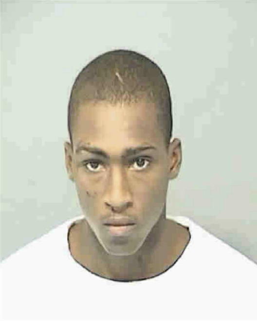 NIXON, LAMAR TERRELL - Peoria County, IL