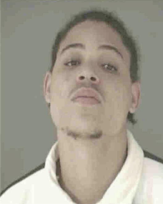 IRVIN, MICHAEL LEE - Peoria County, IL