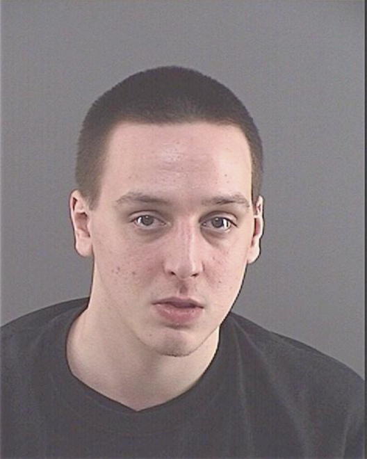 WILLIS, ANDREW VICTOR - Peoria County, IL