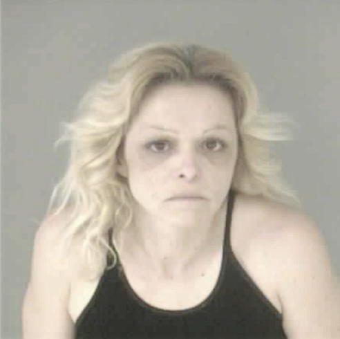 WISNIEWSKI, SANDRA LEE - Peoria County, IL