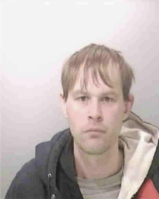 BORNEMAN, DWIGHT MICHAEL - Peoria County, IL