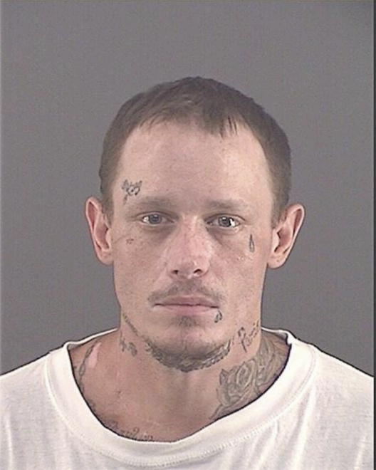 WILLIAMS, CHARLES ASTER - Peoria County, IL