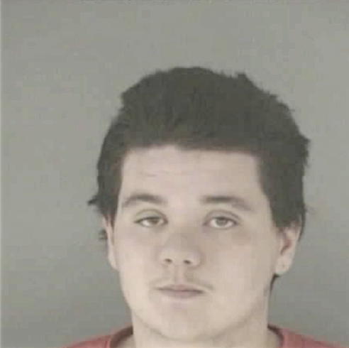 ROYER, BRANDON CODY - Peoria County, IL