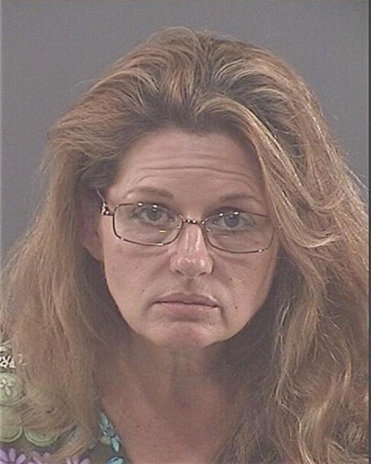 STEWARD, LINDA S - Peoria County, IL