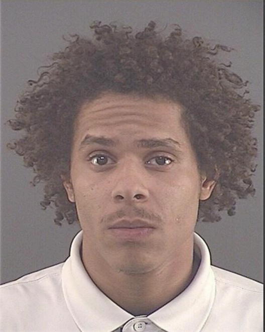 ALLEN, DOMINIQUE L - Peoria County, IL