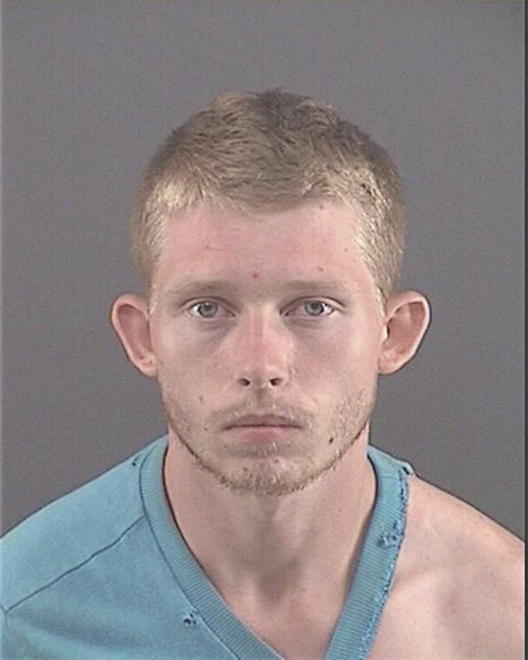BRIDGES, DAVID MICHAEL - Peoria County, IL