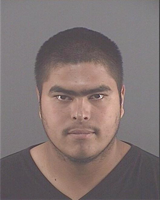 OCHOA, OLIVER - Peoria County, IL