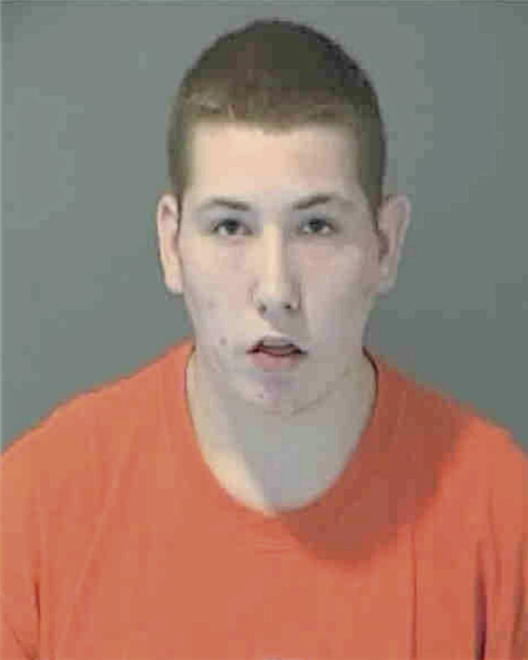 WOLF, BRIAN GREGORY - Peoria County, IL
