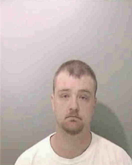 WILLIAMS, DAMIEN MICHAEL - Peoria County, IL