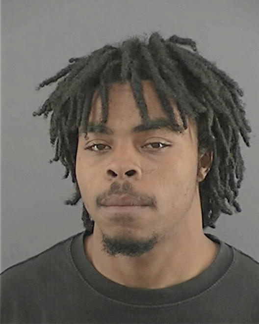 ERVING, TROY T - Peoria County, IL