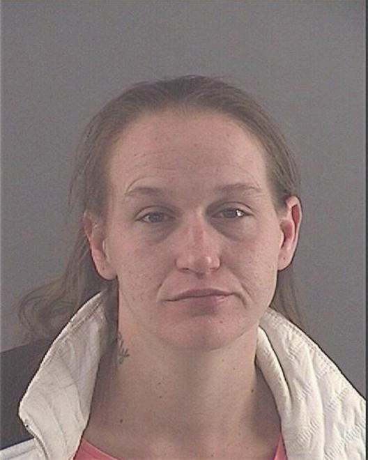 SCHALK, TIFFANY LYNN - Peoria County, IL