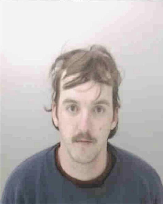 ADAMS, DAVID LEMUEL - Peoria County, IL
