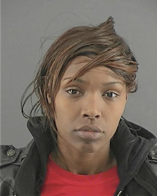 JOHNSON, LATASHA M - Peoria County, IL