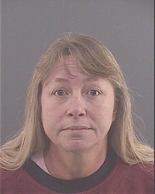 LEE, DENISE MARIE - Peoria County, IL