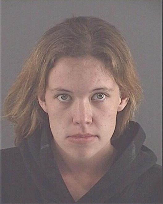 PICCO, RAELEE L - Peoria County, IL