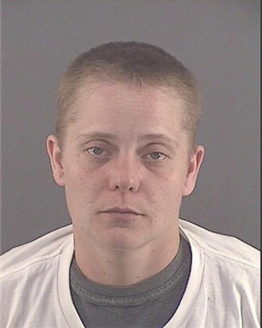 PHILLIPS, ALICIA LEANN - Peoria County, IL