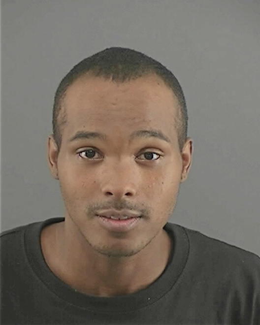 PALMER, HASAN J - Peoria County, IL