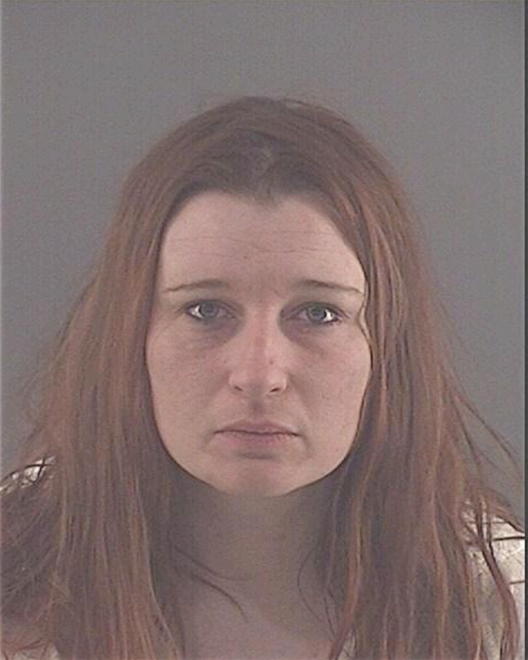 HINKSON, AMBER LOUANNE - Peoria County, IL