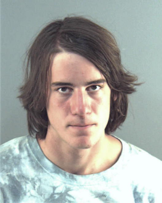 BORK, ANDREW ROBERT - Peoria County, IL