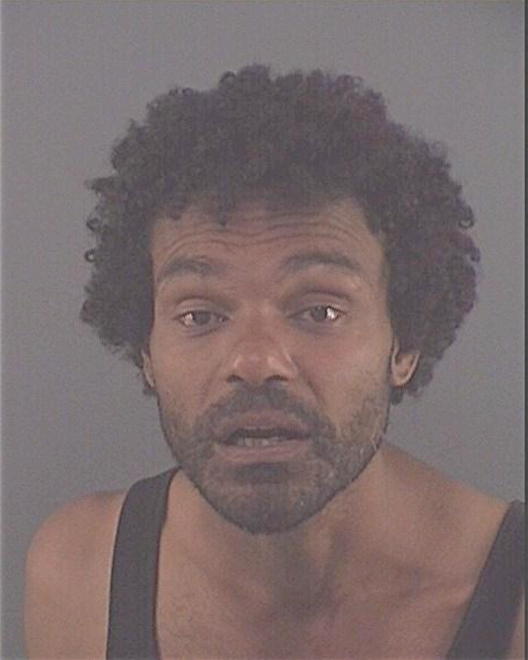 HAYES, JOSHUA ANDREW - Peoria County, IL