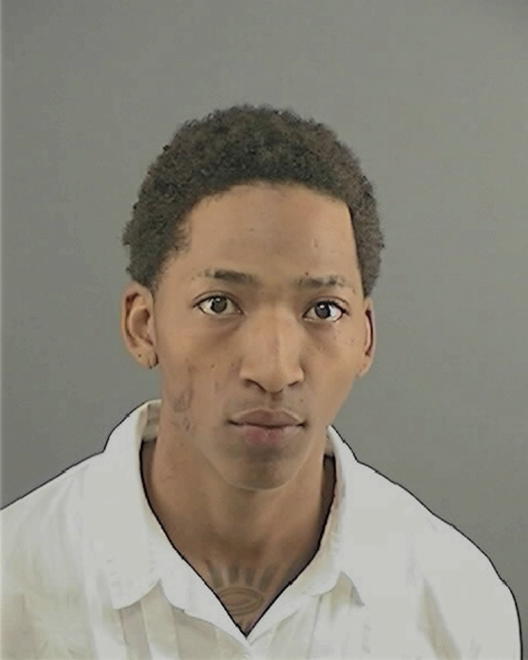 HAMER, BRANDIS L - Peoria County, IL