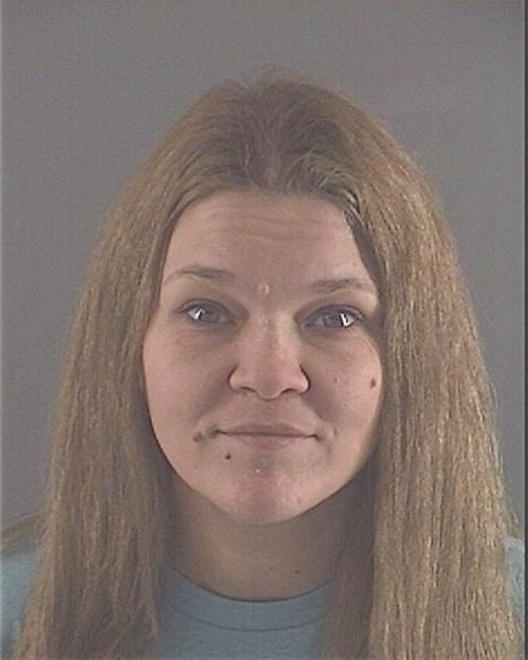 HOYLE, JAMIE A - Peoria County, IL
