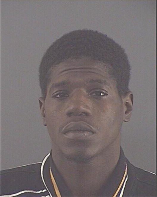 POLNITZ, ERVIN LEDEVALE - Peoria County, IL