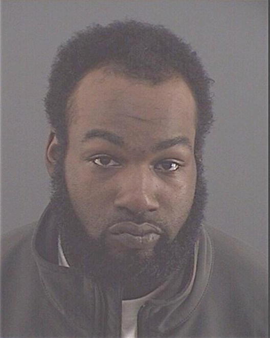 HERRING, DEMICHAEL T - Peoria County, IL