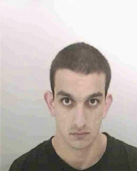 KATTOM, RAED ALABED - Peoria County, IL