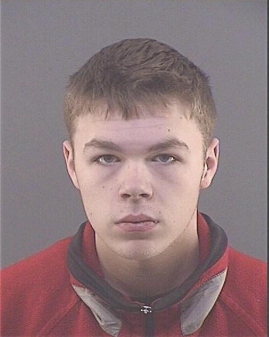 VANDEWIELE, JAMES J - Peoria County, IL