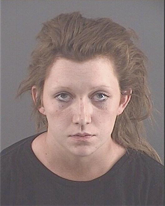 GREER, STEPHANIE LEANN - Peoria County, IL