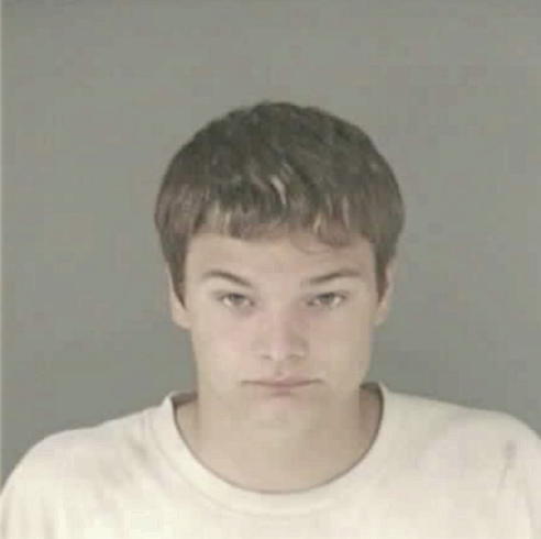 WALKER, BRANDON ROY - Peoria County, IL