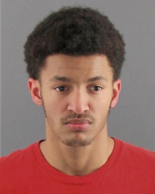 NELSON, MICHEAL J - Peoria County, IL