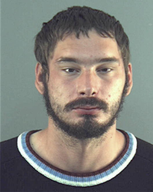 LONG, TRAVIS A - Peoria County, IL