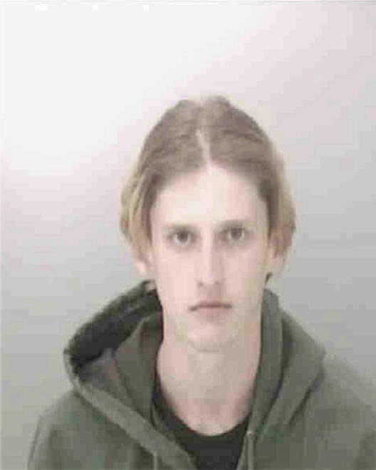 CUMMINGS, STEVEN NICHOLAS - Peoria County, IL