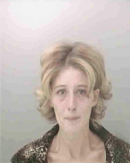 DONALDSON, JAMIE M - Peoria County, IL